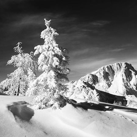 Almhaus Nassfeld Appartement Sonnenalpe Nassfeld Buitenkant foto