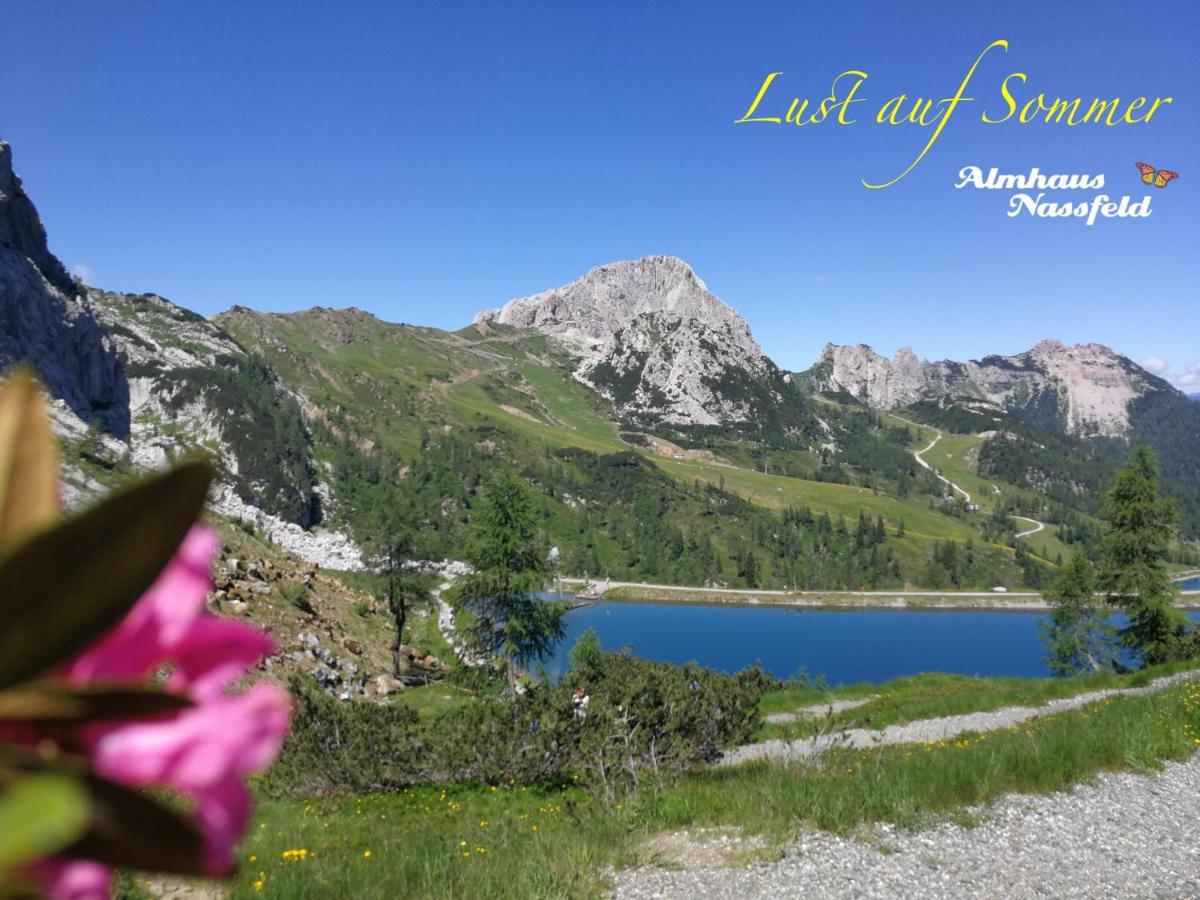 Almhaus Nassfeld Appartement Sonnenalpe Nassfeld Buitenkant foto