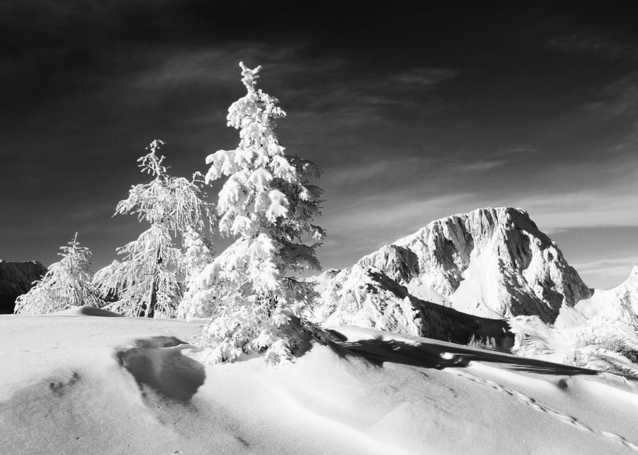 Almhaus Nassfeld Appartement Sonnenalpe Nassfeld Buitenkant foto