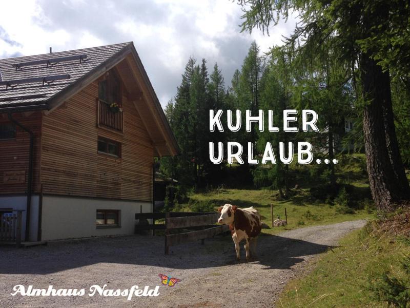 Almhaus Nassfeld Appartement Sonnenalpe Nassfeld Buitenkant foto